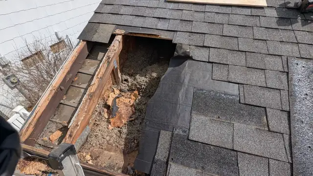 Roof opened to show a dry-rotted board under storm damage